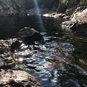 Meet your Posher, Arianna